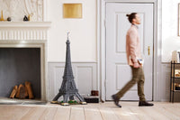 Eiffel tower (10001+pcs)